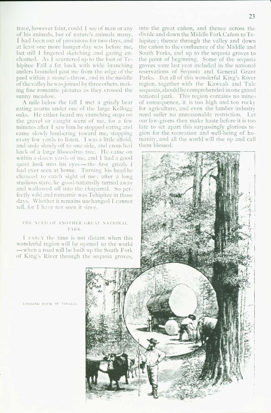 A RIVAL OF THE YOSEMITE: the ca&ntilde;on of the South Fork of Kings River, California. vist0010l